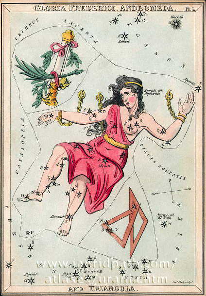 Созвездие Андромеда из Атласа "Urania’s Mirror" (London, 1825)