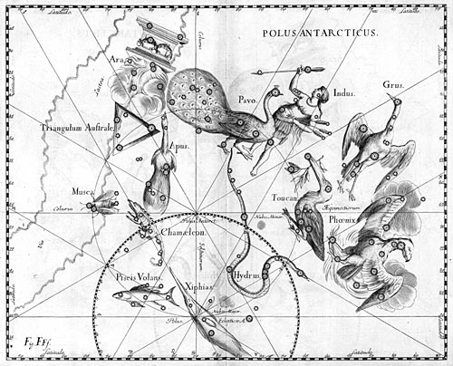 Созвездие Золотая рыба из Атласа Uranographia Яна Гевелия (1690)