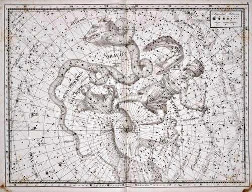 Созвездие Дракона из Атласа Uranographia J. E. Bode (Берлин 1801)