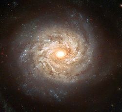 Spiral Galaxy NGC 3982 