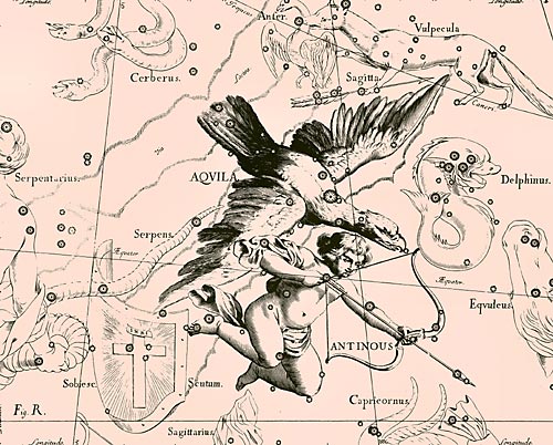Созвездие Орёл из Атласа Uranographia Яна Гевелия (1690)