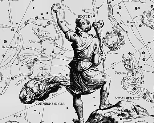 Созвездие Волосы Вероники из Атласа Uranographia Яна Гевелия (1690)