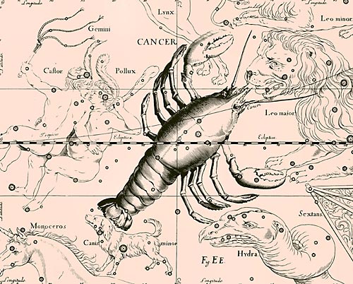 Созвездие Рак из Атласа Uranographia Яна Гевелия (1690)