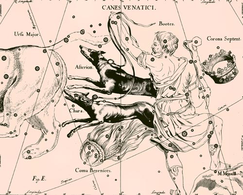 Созвездие Гончих Псов из Атласа Uranographia Яна Гевелия (1690)