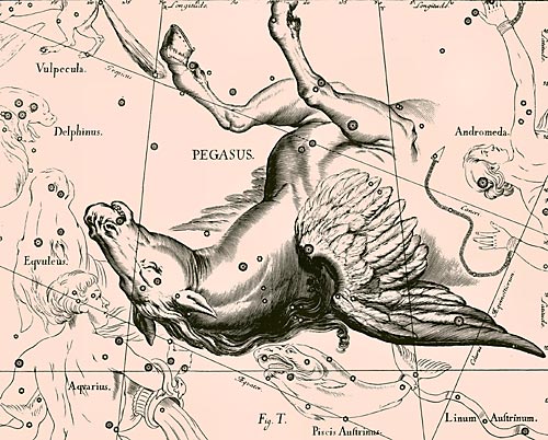 Созвездие Малого Коня из Атласа Uranographia Яна Гевелия (1690)