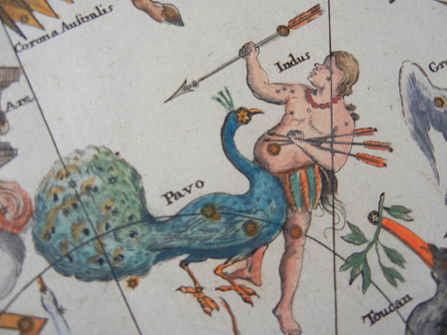 Созвездие Павлин из Atlas Coelestis (1742)