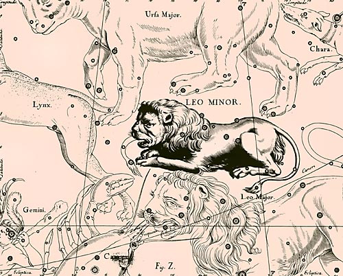 Созвездие Малого Льва из Атласа Uranographia Яна Гевелия (1690)