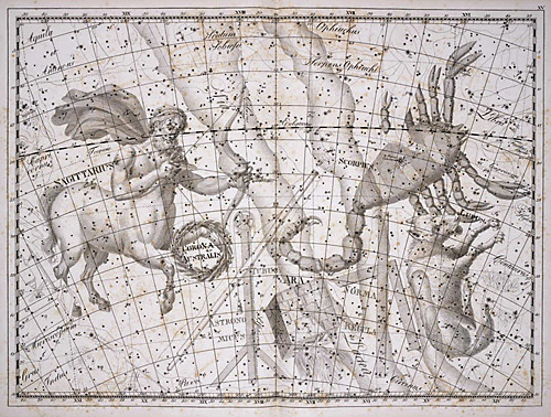 Созвездие Волка из Атласа Uranographia J. E. Bode (Берлин 1801)