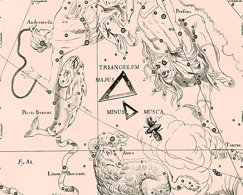 Созвездие Треугольника из Атласа Uranographia Яна Гевелия (1690)